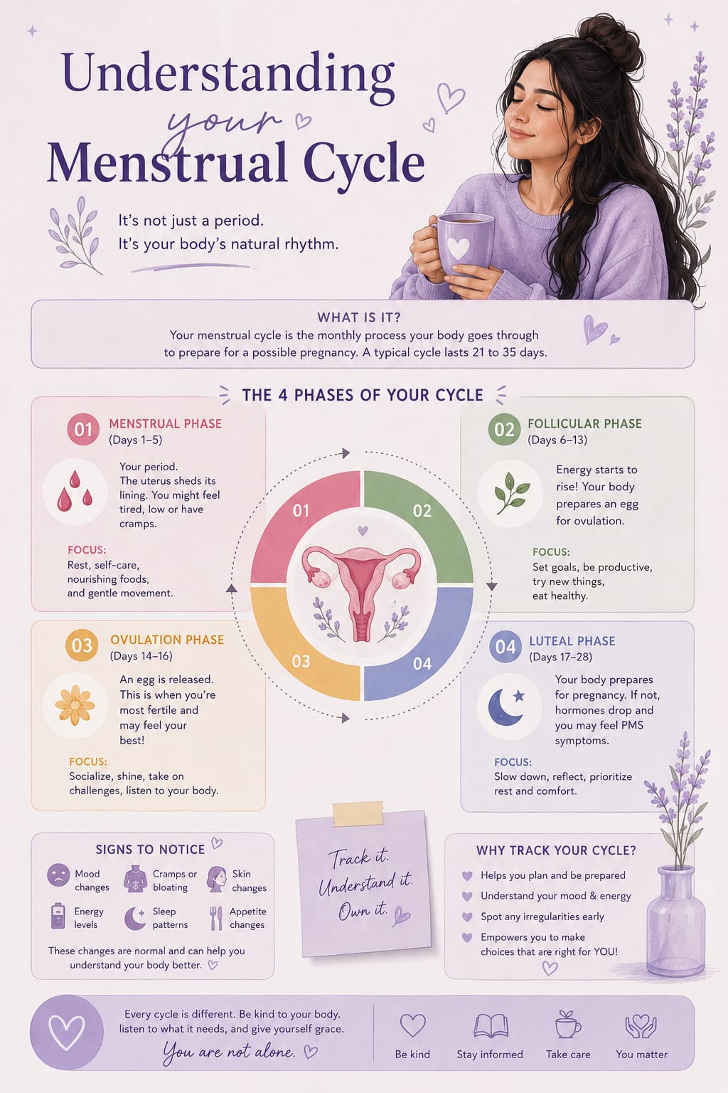Understanding your menstrual cycle infographic